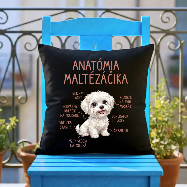 Anatómia maltézáčika - čierny vankúš s potlačou