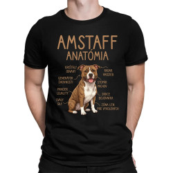 Amstaff anatómia - pánske tričko s potlačou