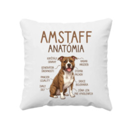 Amstaff anatómia - vankúš s potlačou