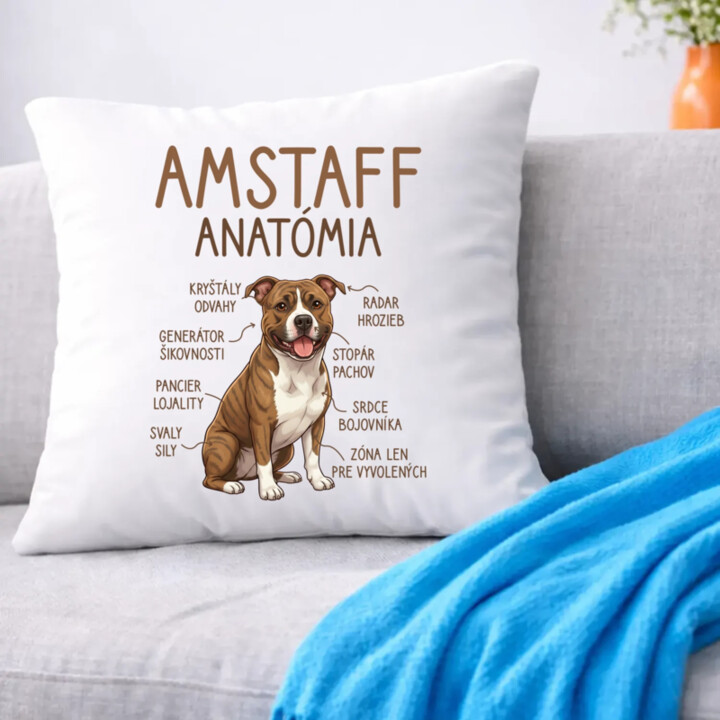 Amstaff anatómia - vankúš s potlačou