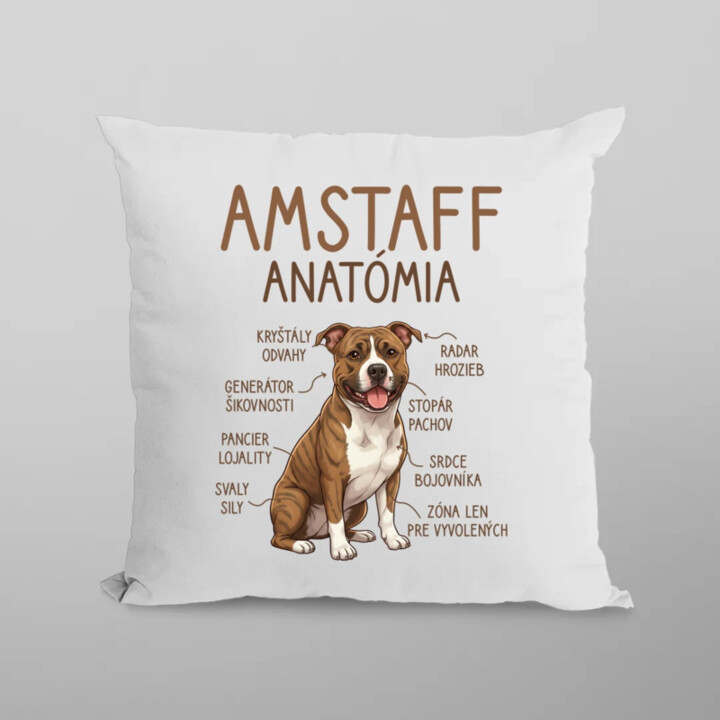 Amstaff anatómia - vankúš s potlačou