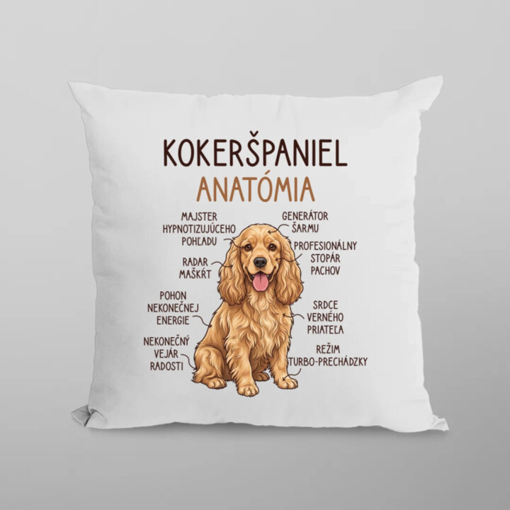 Kokeršpaniel – anatómia - vankúš s potlačou
