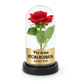 Pre ženu, ktorá rozkvitá každý deň - večná ruža pod skleneným poklopom s gravírovaním