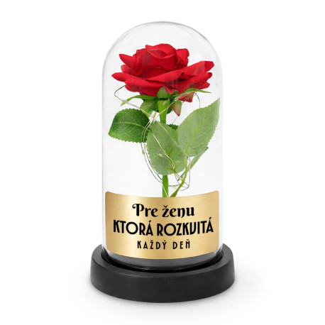 Pre ženu, ktorá rozkvitá každý deň - večná ruža pod skleneným poklopom s gravírovaním