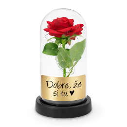 Dobre, že si tu - večná ruža pod skleneným poklopom s gravírovaním