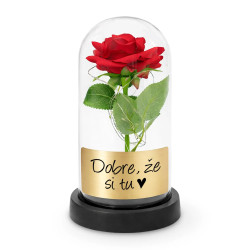 Dobre, že si tu - večná ruža pod skleneným poklopom s gravírovaním
