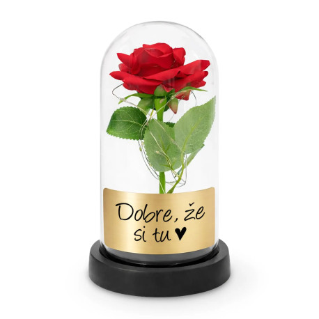 Dobre, že si tu - večná ruža pod skleneným poklopom s gravírovaním