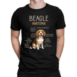 Beagle – anatómia  - pánske tričko s potlačou