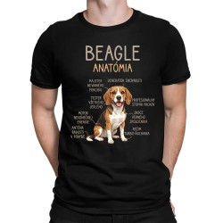 Beagle – anatómia  - pánske tričko s potlačou