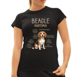 Beagle – anatómia  - dámske tričko s potlačou