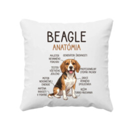 Beagle – anatómia  - vankúš s potlačou