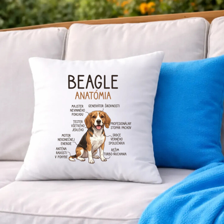 Beagle – anatómia  - vankúš s potlačou