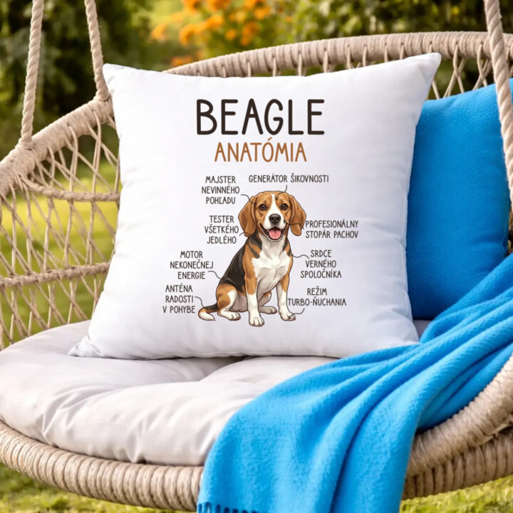 Beagle – anatómia  - vankúš s potlačou