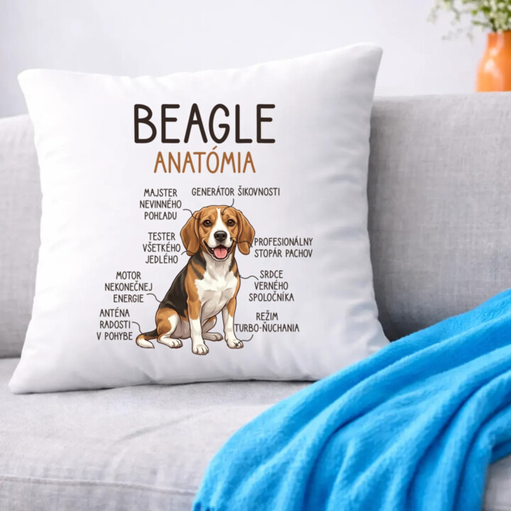 Beagle – anatómia  - vankúš s potlačou