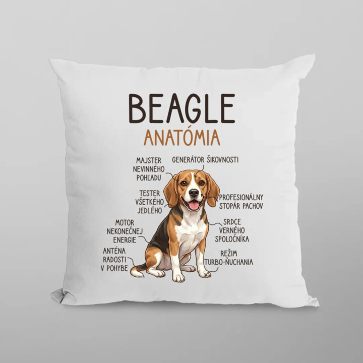 Beagle – anatómia  - vankúš s potlačou