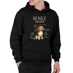 Beagle – anatómia   - pánska mikina s potlačou