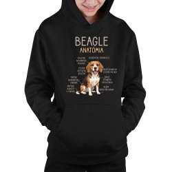 Beagle – anatómia  - detská mikina s kapucňou