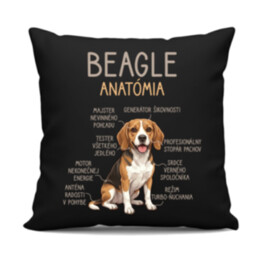 Beagle – anatómia  - čierny vankúš s potlačou