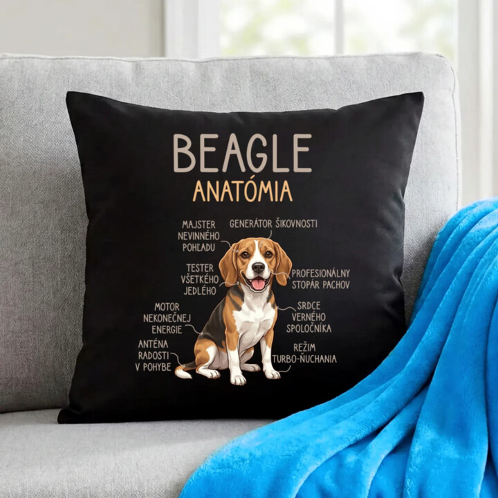 Beagle – anatómia  - čierny vankúš s potlačou