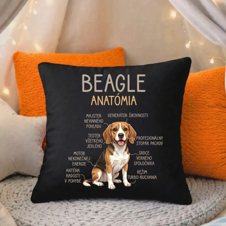 Beagle – anatómia  - čierny vankúš s potlačou