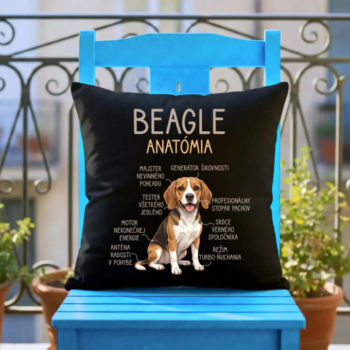 Beagle – anatómia  - čierny vankúš s potlačou