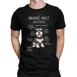 Bradáč malý – anatómia - pánske tričko s potlačou