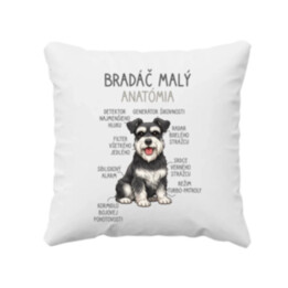 Bradáč malý – anatómia - vankúš s potlačou