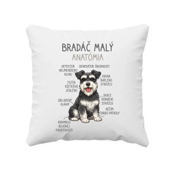Bradáč malý – anatómia - vankúš s potlačou