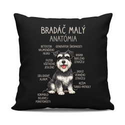 Bradáč malý – anatómia - čierny vankúš s potlačou