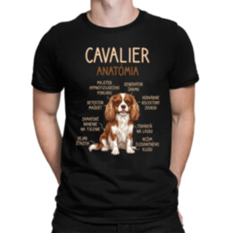 Cavalier – anatómia - pánske tričko s potlačou