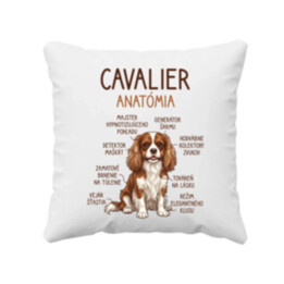 Cavalier – anatómia - vankúš s potlačou