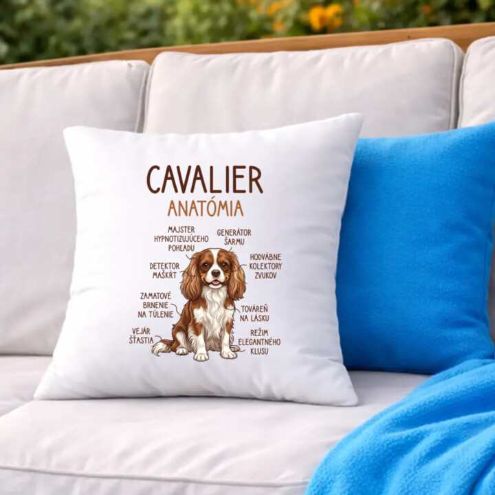 Cavalier – anatómia - vankúš s potlačou