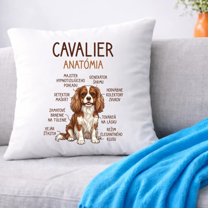 Cavalier – anatómia - vankúš s potlačou