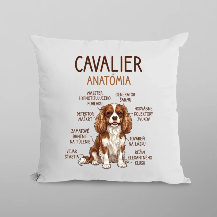 Cavalier – anatómia - vankúš s potlačou