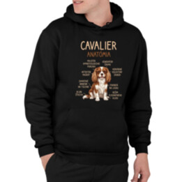 Cavalier – anatómia  - pánska mikina s potlačou