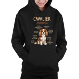 Cavalier – anatómia - detská mikina s kapucňou