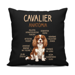 Cavalier – anatómia - čierny vankúš s potlačou