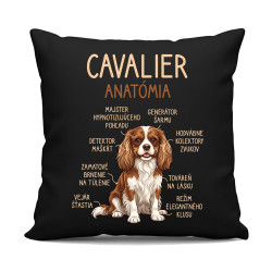 Cavalier – anatómia - čierny vankúš s potlačou