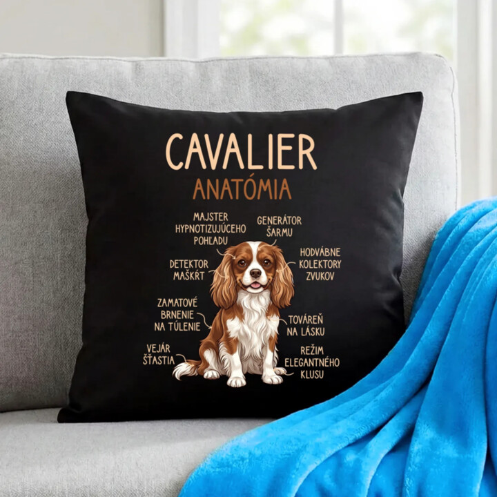 Cavalier – anatómia - čierny vankúš s potlačou