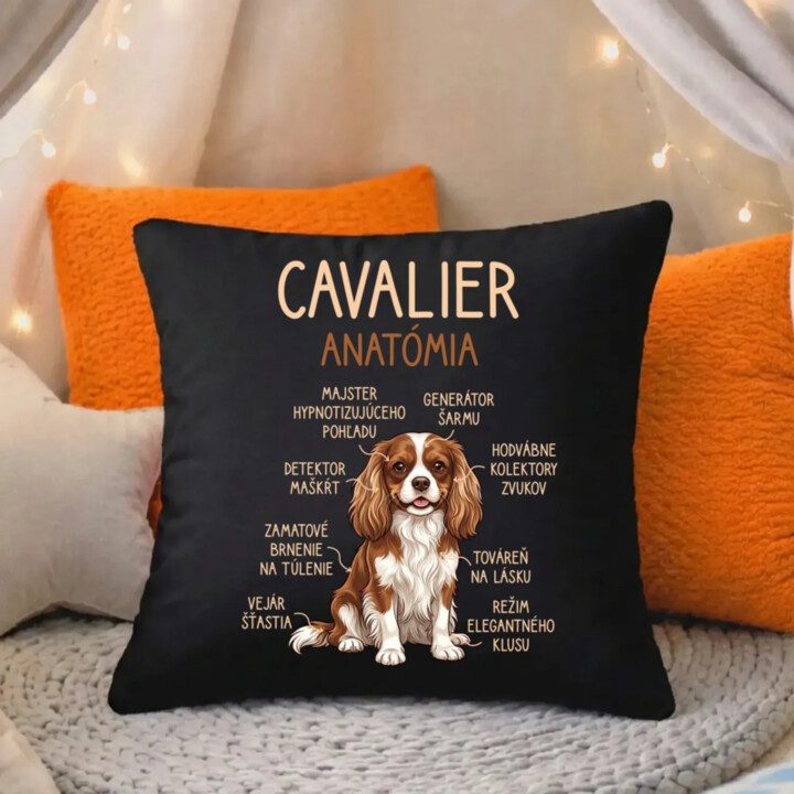 Cavalier – anatómia - čierny vankúš s potlačou