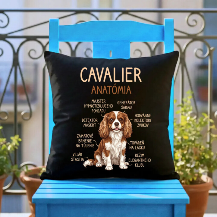 Cavalier – anatómia - čierny vankúš s potlačou