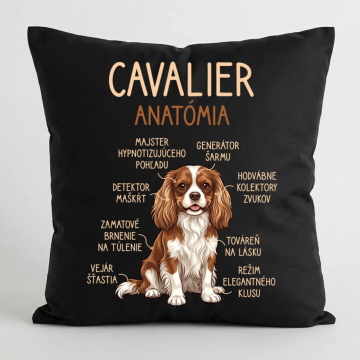 Cavalier – anatómia - čierny vankúš s potlačou
