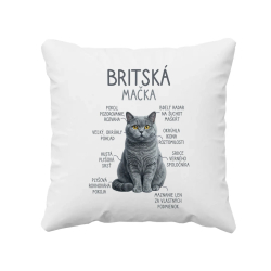 Britská mačka - Anatómia - vankúš s potlačou