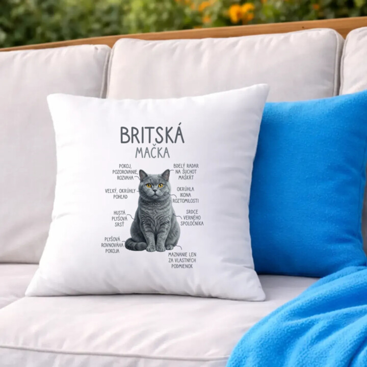 Britská mačka - Anatómia - vankúš s potlačou