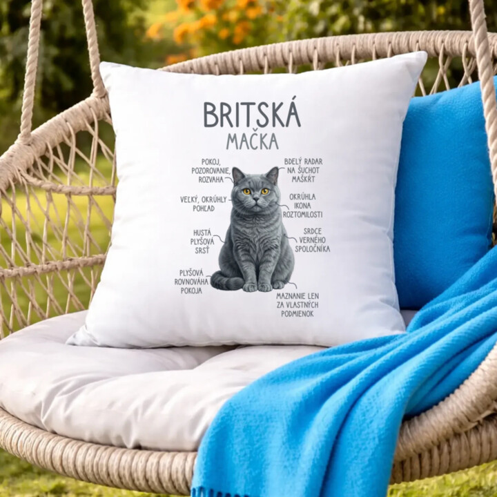 Britská mačka - Anatómia - vankúš s potlačou