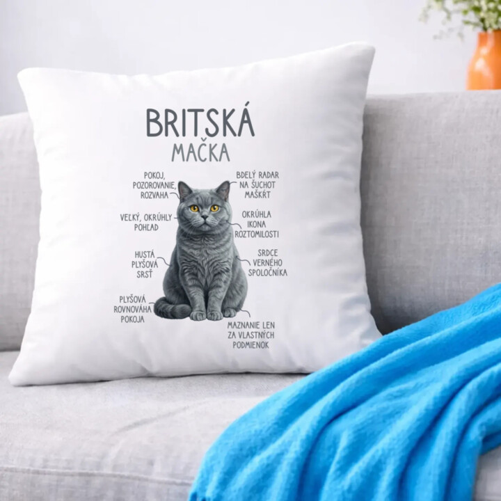 Britská mačka - Anatómia - vankúš s potlačou