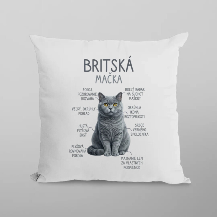 Britská mačka - Anatómia - vankúš s potlačou