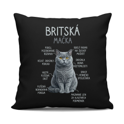 Britská mačka - Anatómia - čierny vankúš s potlačou