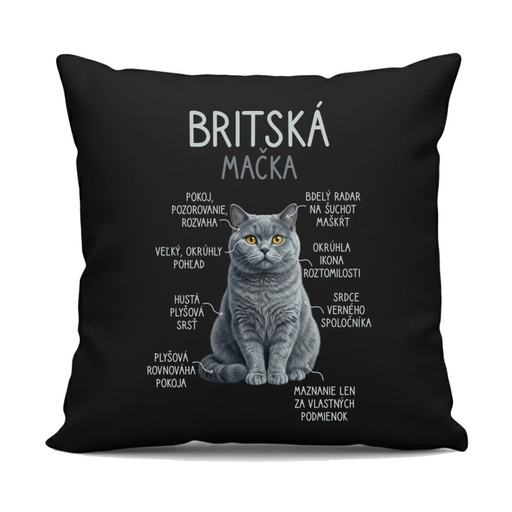 Britská mačka - Anatómia - čierny vankúš s potlačou