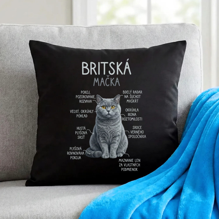 Britská mačka - Anatómia - čierny vankúš s potlačou